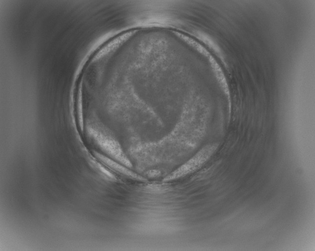 X0000074031480200609181914