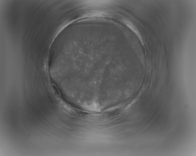 X0000074031481200609181914