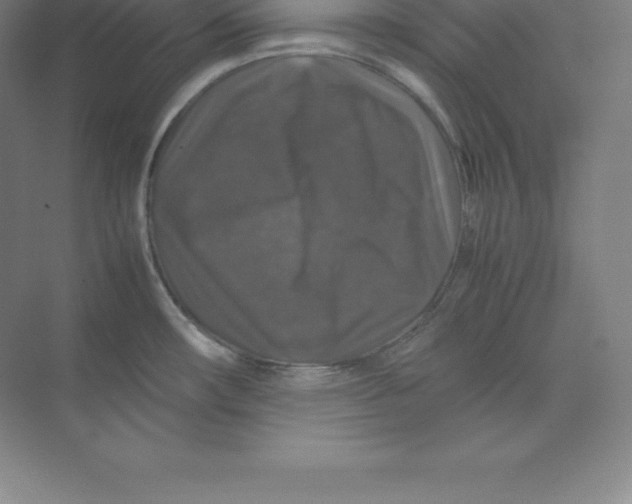 X0000074031482200609181914