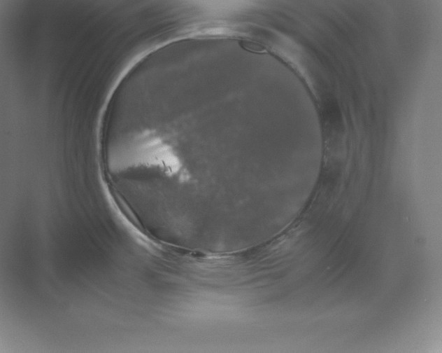 X0000074031483200609181914