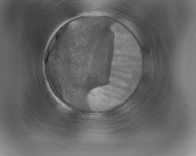 X0000074031484200609181914