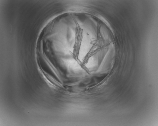 X0000074031485200609181914