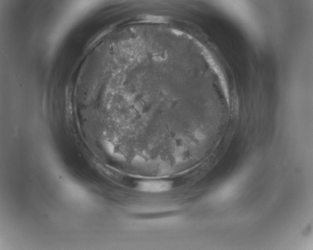 X0000074031487200609181913