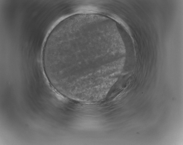 X0000074031488200609181913