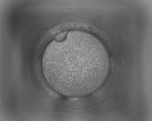 X0000074031489200609181913