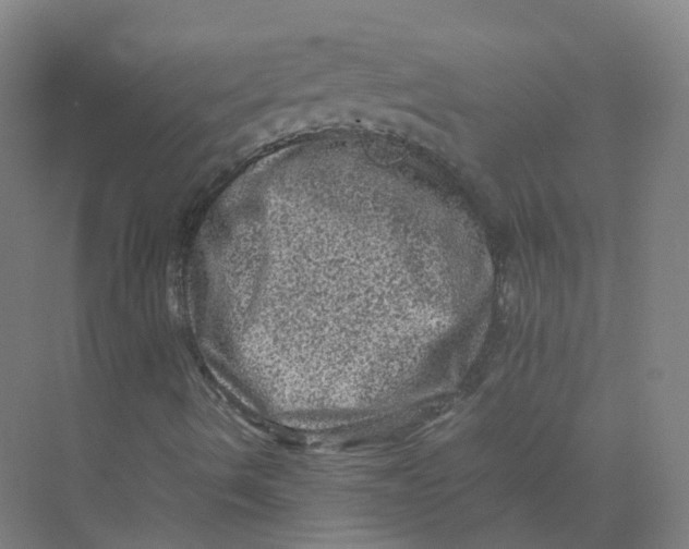 X0000074031490200609181913