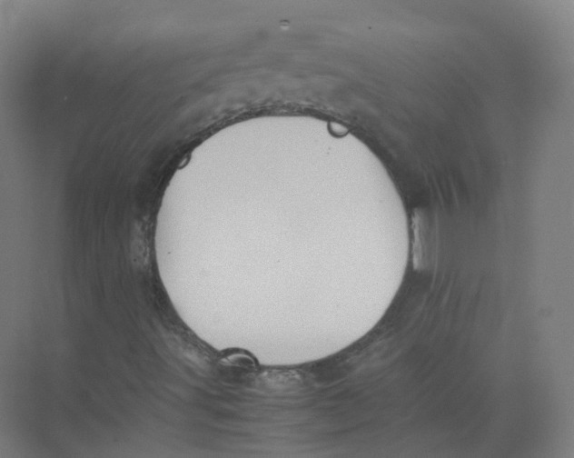 X0000074031491200609181913