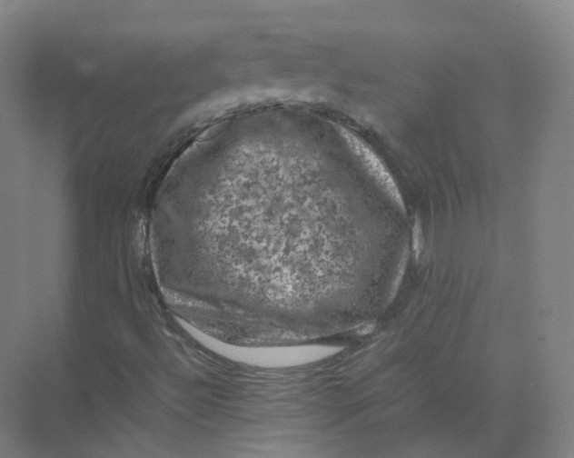 X0000074031492200609181913