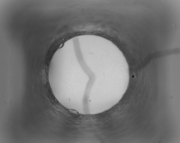 X0000074031493200609181913