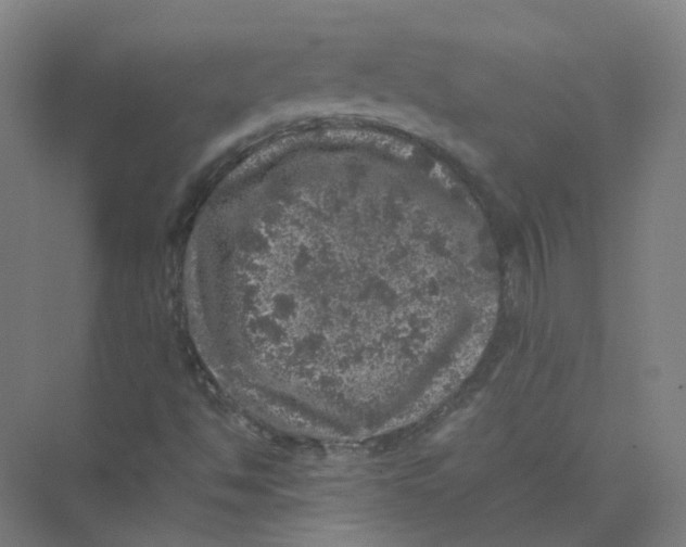 X0000074031494200609181913