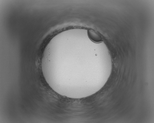 X0000074031495200609181913