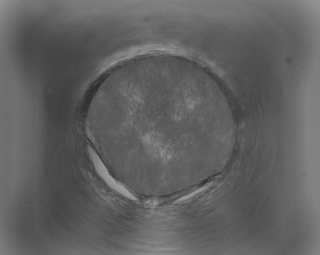 X0000074031496200609181913