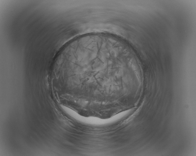 X0000074031497200609181913