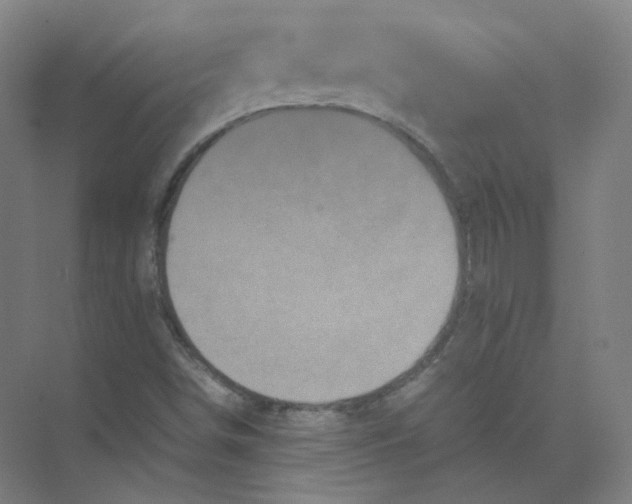 X0000074031498200609181913