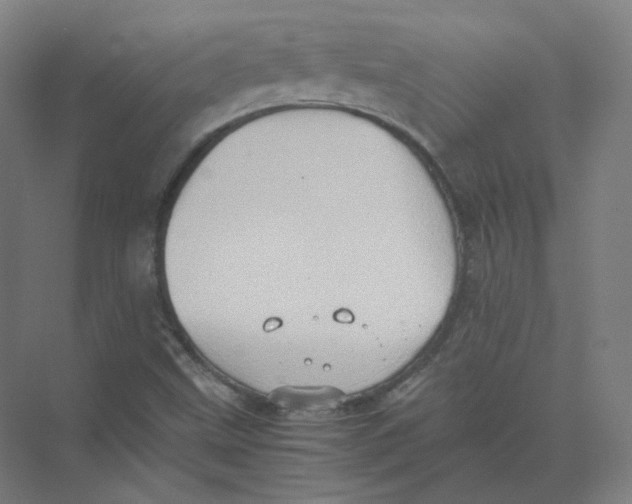 X0000074031499200609181913