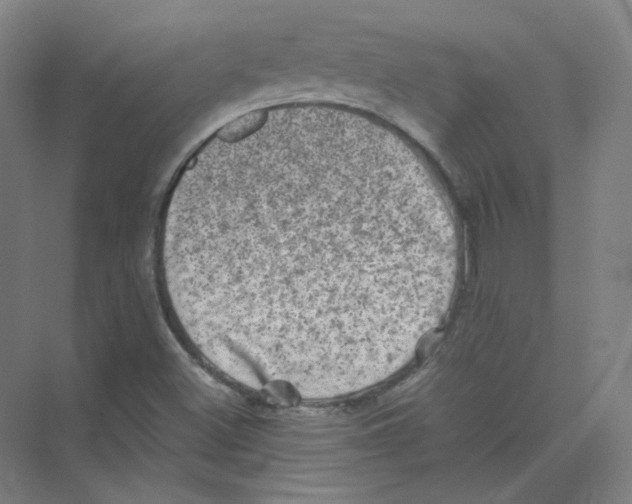 X0000074031500200609181913