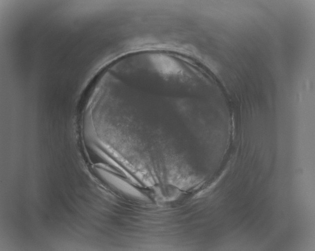 X0000074031501200609181913