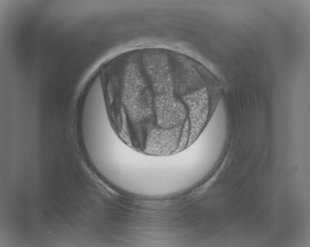 X0000074031502200609181913