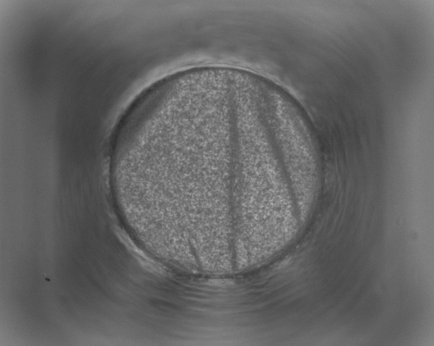 X0000074031503200609181913