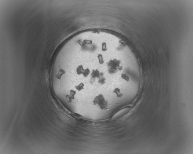 X0000074031505200609181913