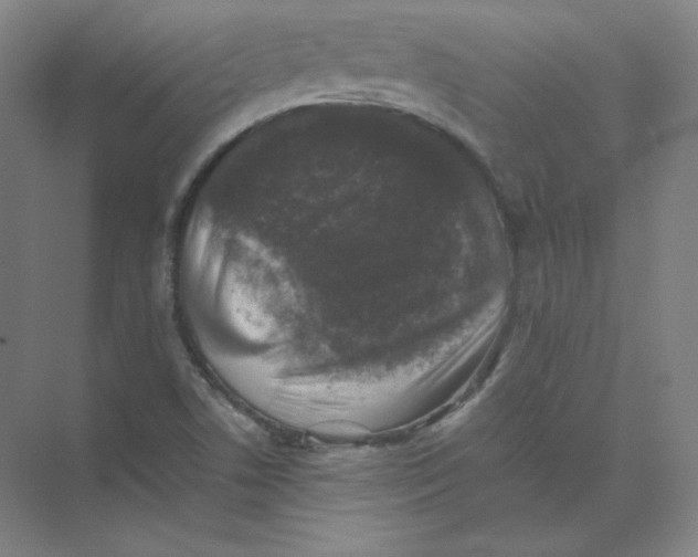 X0000074031506200609181913