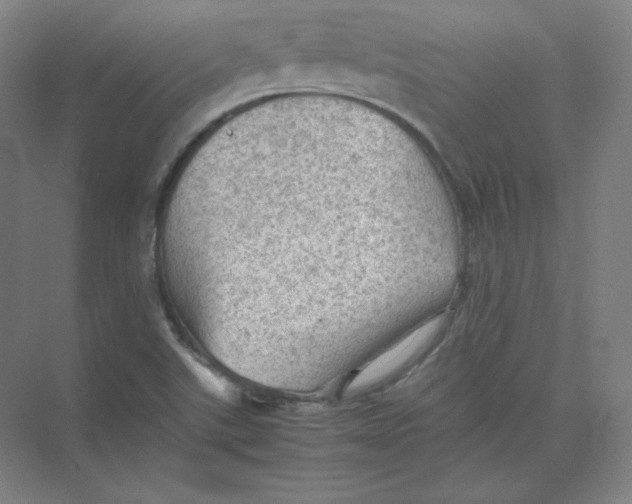 X0000074031507200609181913