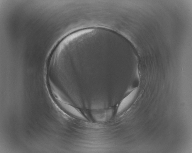 X0000074031508200609181913