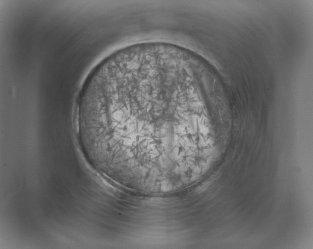 X0000074031510200609181913