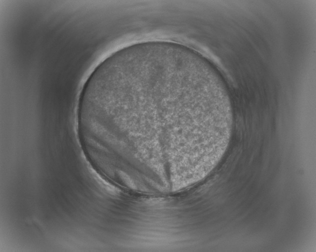 X0000074031512200609181913