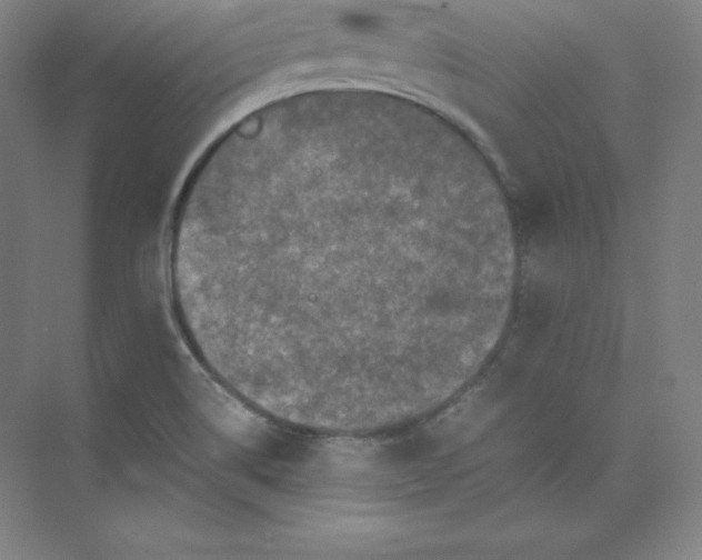 X0000074031514200609181913