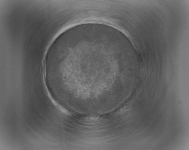 X0000074031515200609181913