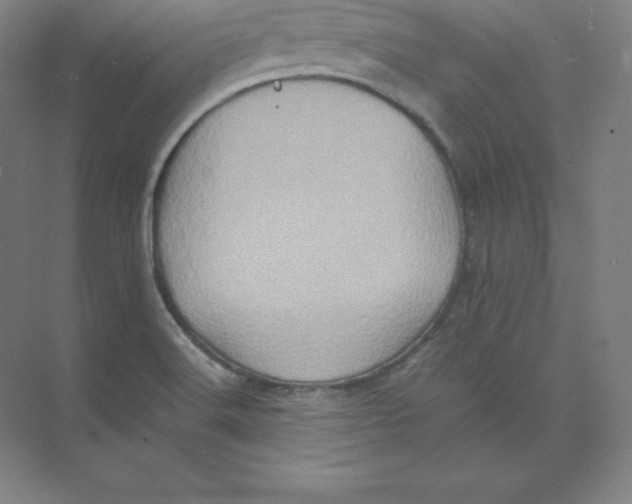 X0000074031516200609181913