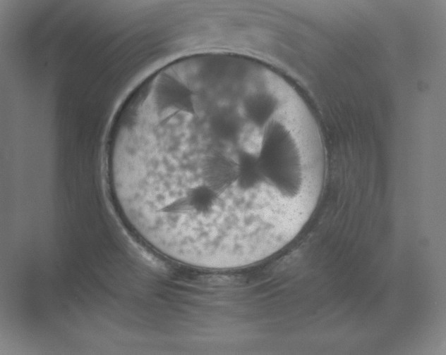 X0000074031517200609181913