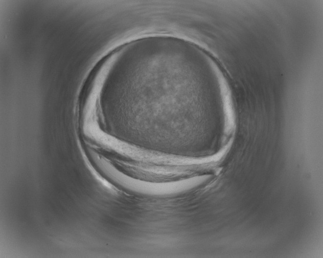 X0000074031519200609181913