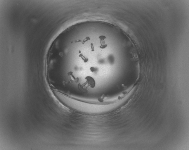 X0000074031520200609181913