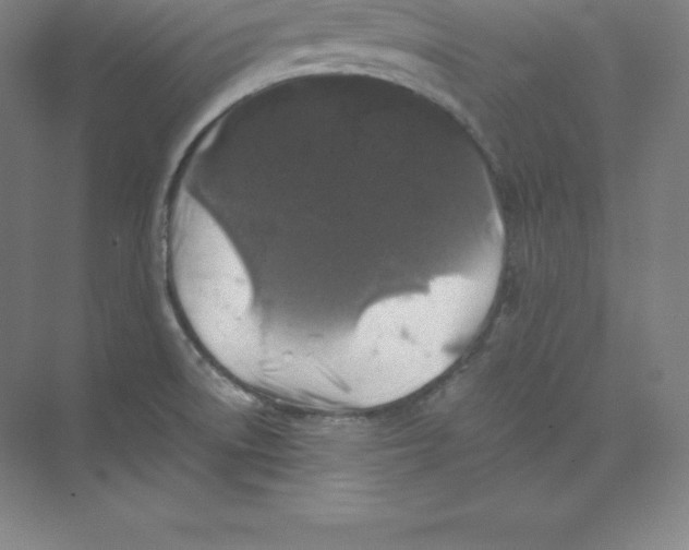 X0000074031522200609181913