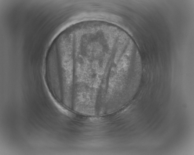 X0000074031523200609181913