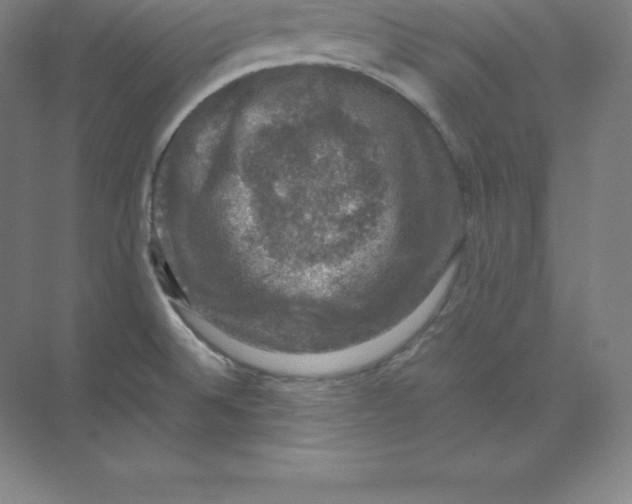 X0000074031524200609181913