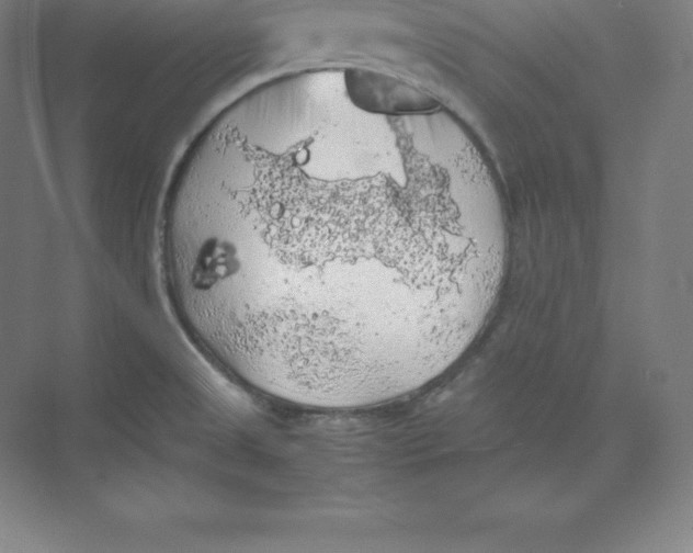 X0000074031525200609181913