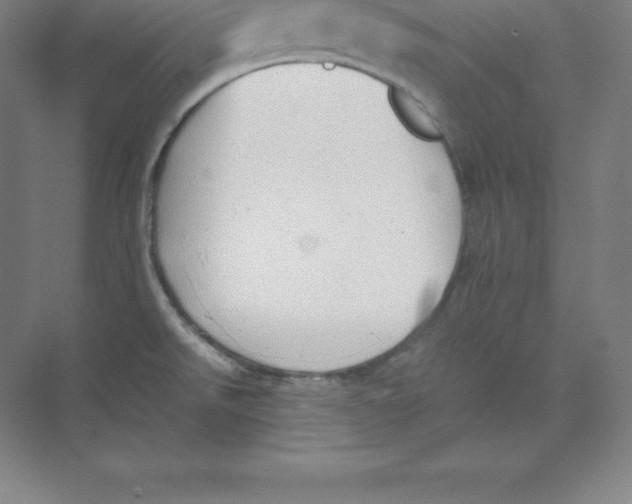 X0000074031526200609181913