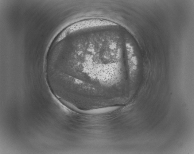 X0000074031527200609181913