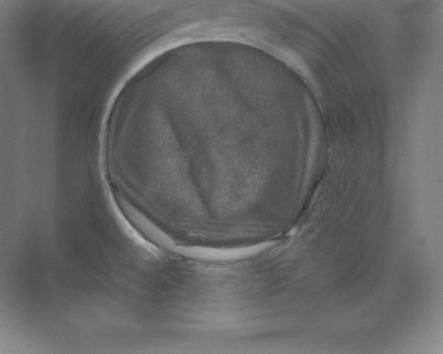 X0000074031528200609181913