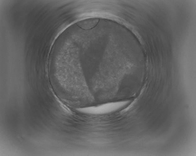 X0000074031529200609181913