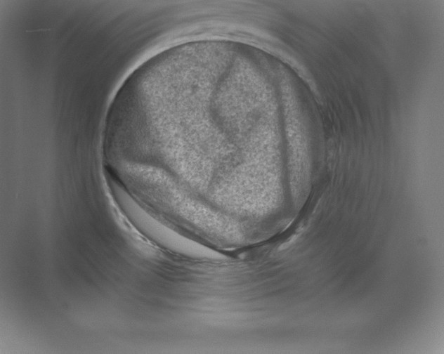 X0000074031530200609181913