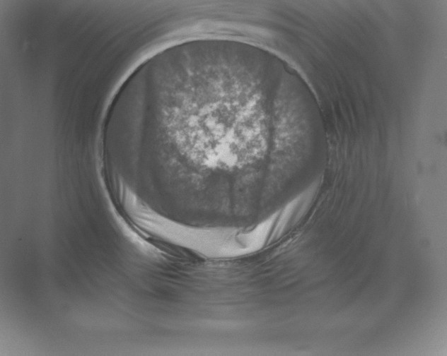 X0000074031531200609181913