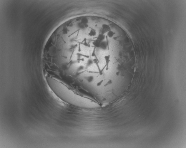 X0000074031532200609181913