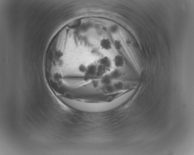 X0000074031533200609181913