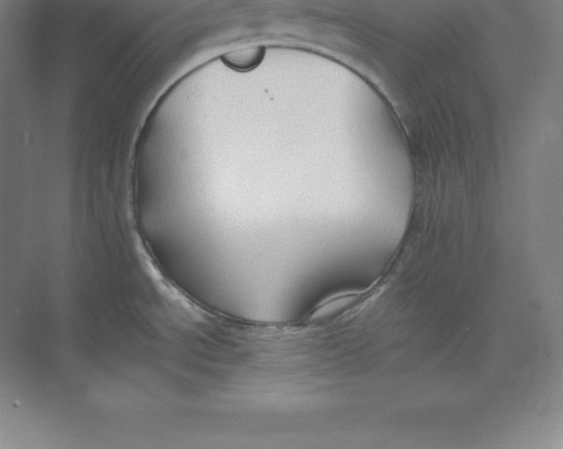 X0000074031534200609181913