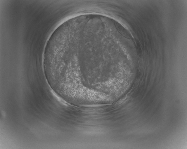 X0000074031535200609181913