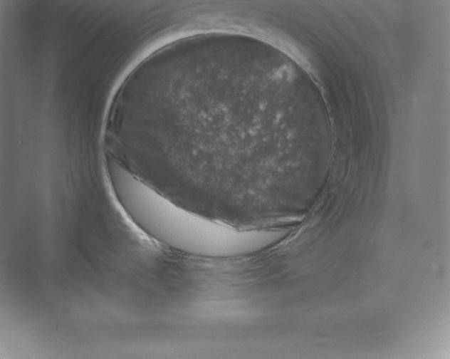 X0000074031536200609181913